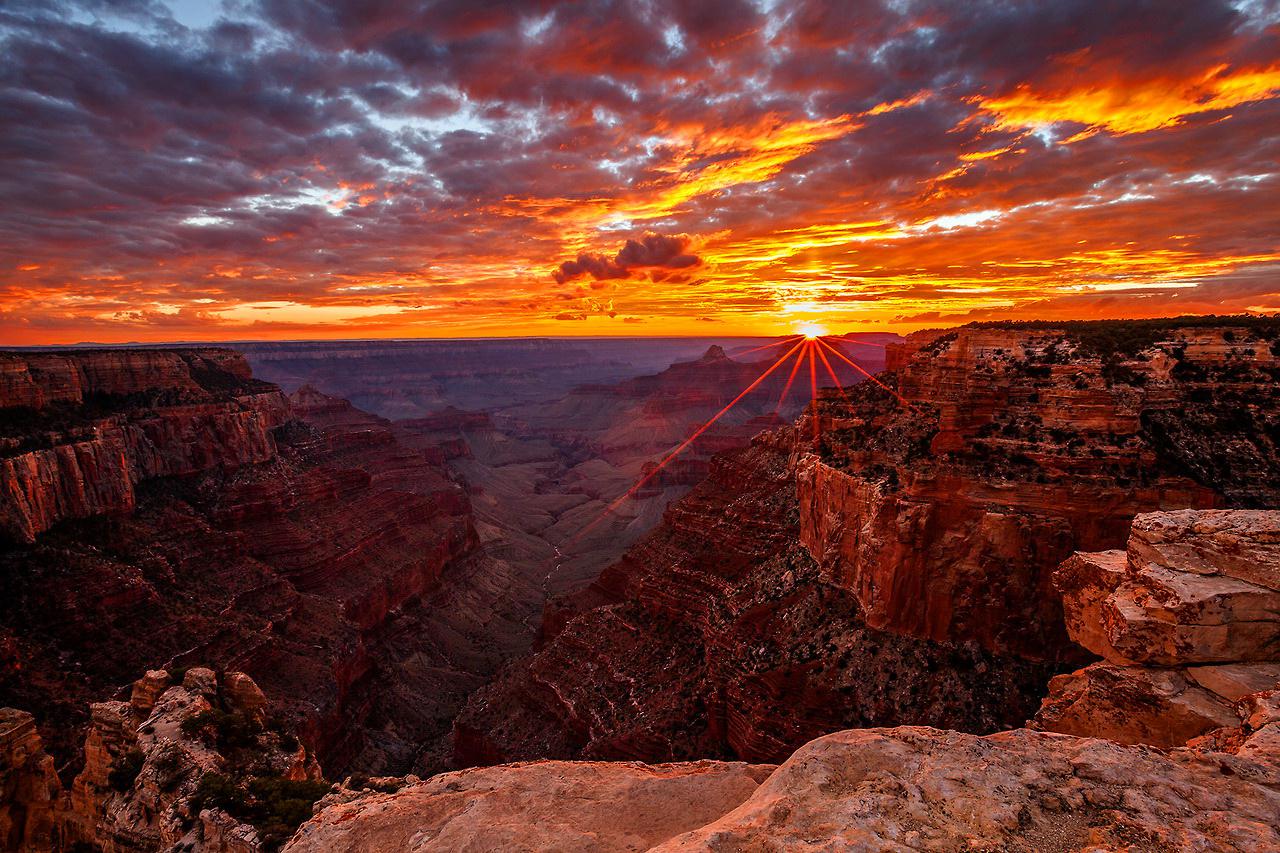 top  :the grand canyon Ͽȹ԰(ɣ )