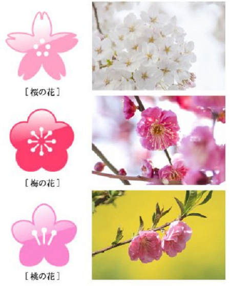 「櫻花」、「梅花」、「桃花」永遠分不清楚？你需要一個更簡易的方法來辨別 1