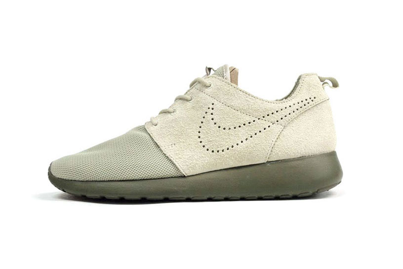 2012 roshe run