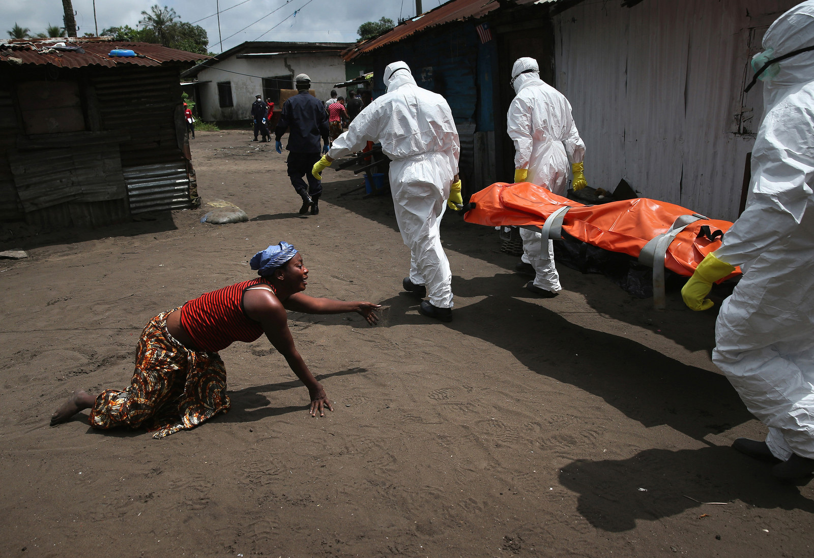 伊波拉病毒图片介绍图片